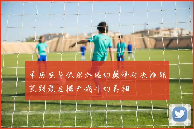 辛历克与伏尔加诺的巅峰对决谁能笑到最后揭开战斗的真相