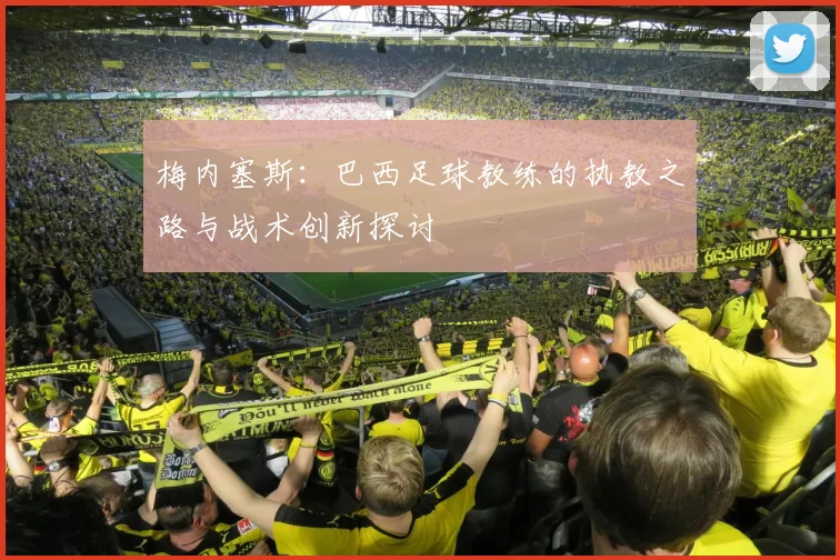 梅内塞斯：巴西足球教练的执教之路与战术创新探讨